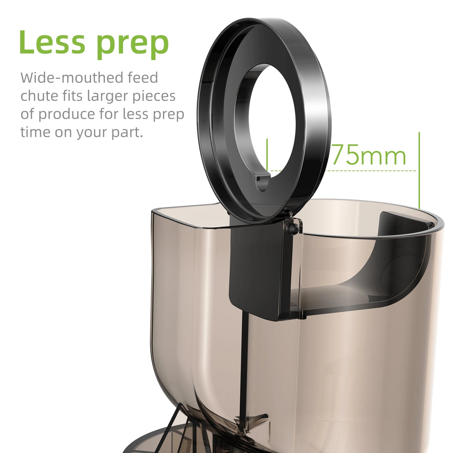VitaMixGo BioloMix Slow Cold Press Juicer